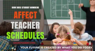 Student Numbers Impact: How Class Sizes Shape Teacher Schedules and Workload