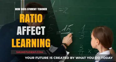 Impact of Student-Teacher Ratios on Learning Outcomes and Success