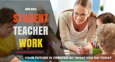 Understanding the Role and Impact of Student Teachers in Education