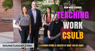 Understanding CSULB's Student Teaching Program: A Comprehensive Guide