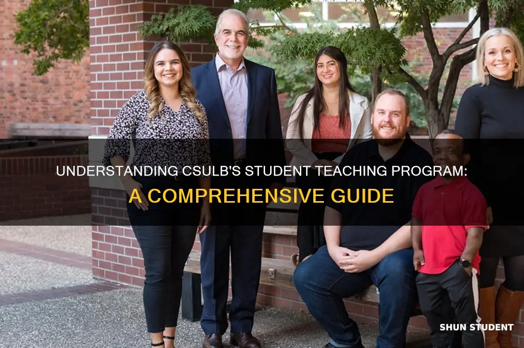 how does student teaching work csulb