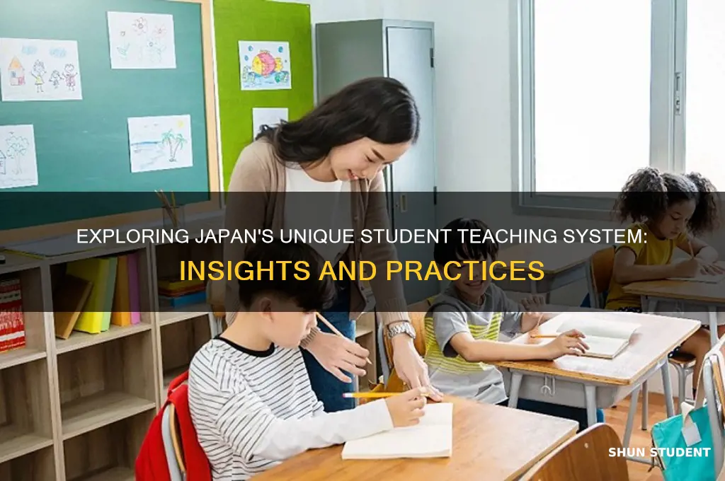how does student teaching work in japan