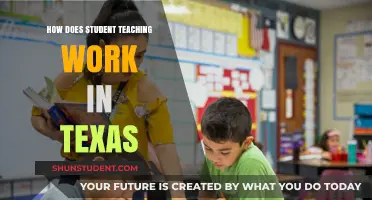 Understanding Texas Student Teaching: Requirements, Process, and Certification Pathways