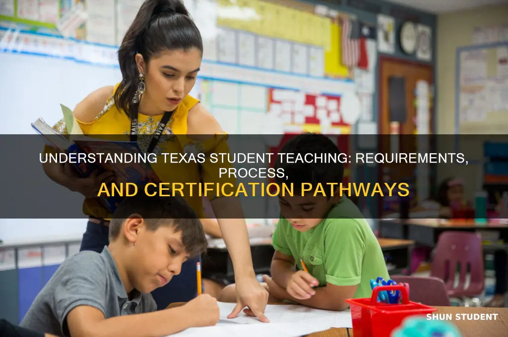 how does student teaching work in texas