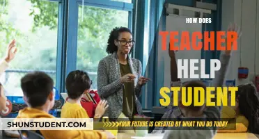 Empowering Learners: The Transformative Role of Teachers in Student Success