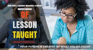 Effective Strategies for Teachers to Assess Student Lesson Comprehension