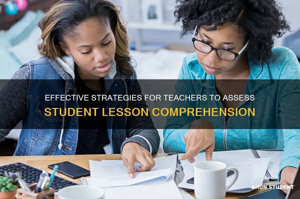 how does teacher measure student understanding of lesson taught