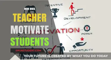 Effective Strategies Teachers Use to Motivate and Engage Students