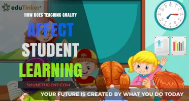Enhancing Student Outcomes: The Impact of Teaching Quality on Learning