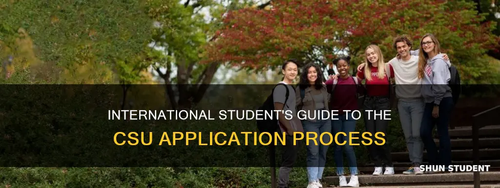 how does the csu application work for n international student