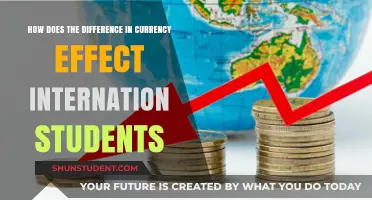 Currency Fluctuations: International Students' Financial Challenges