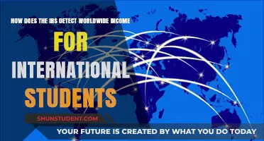 IRS Worldwide Income Tracking: International Students' Guide