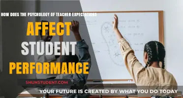 Teacher Expectations: Unlocking Student Potential Through Psychological Insights