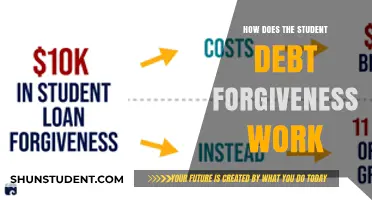 Understanding Student Debt Forgiveness: How It Works and Who Qualifies
