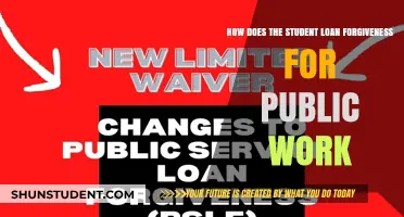 Understanding Public Service Loan Forgiveness: A Guide for Students