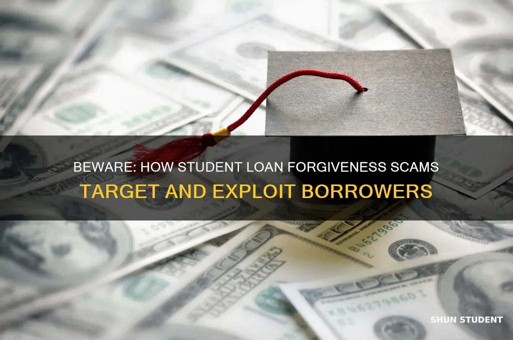 how does the student loan forgiveness scam work