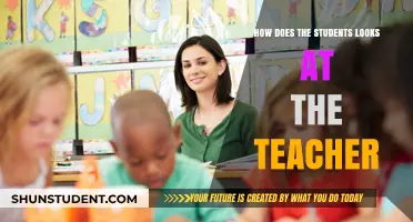 Through Students' Eyes: Perspectives on Teachers and Their Classroom Impact