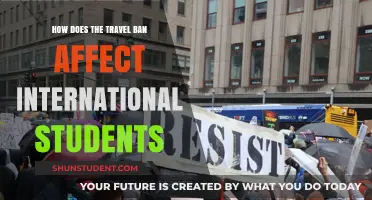 Travel Ban Impact: International Students' Plight