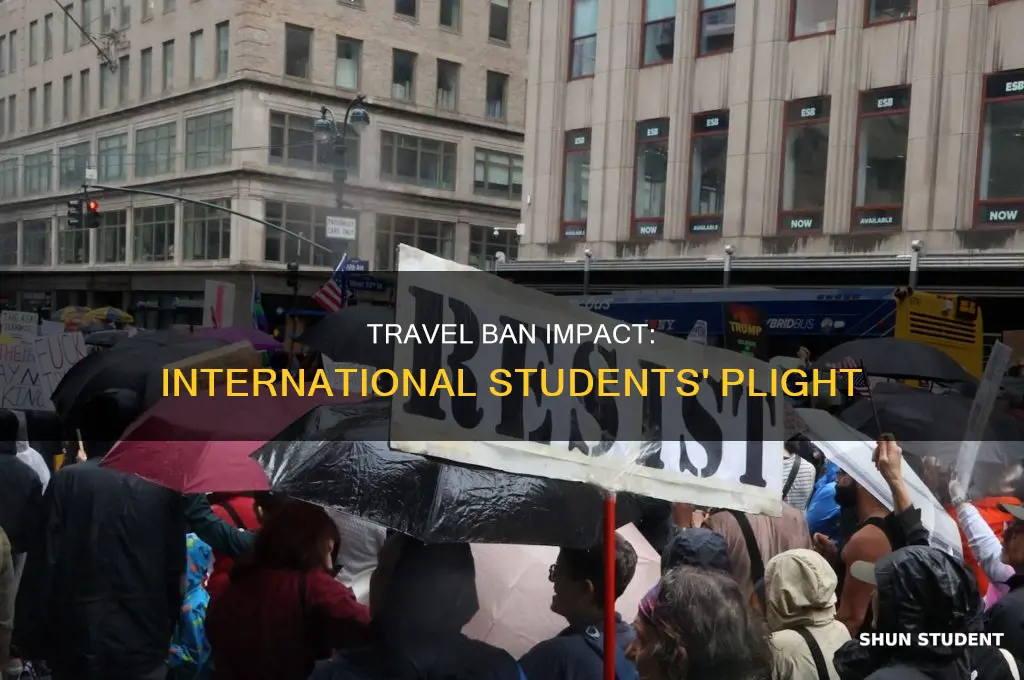 how does the travel ban affect international students