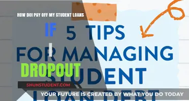 Student Loans: Dropout Repayment Strategies