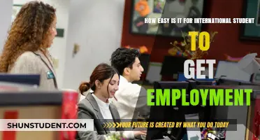 Finding Employment: International Students' Challenges