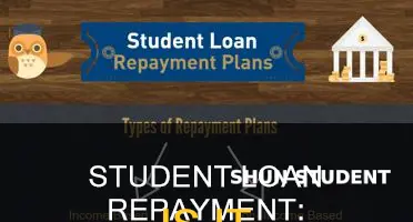 how easy is it to pay back student loans
