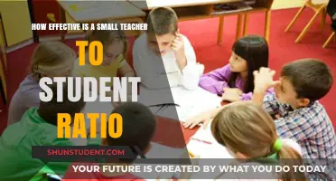 Small Class Sizes: Boosting Learning Outcomes and Student Engagement