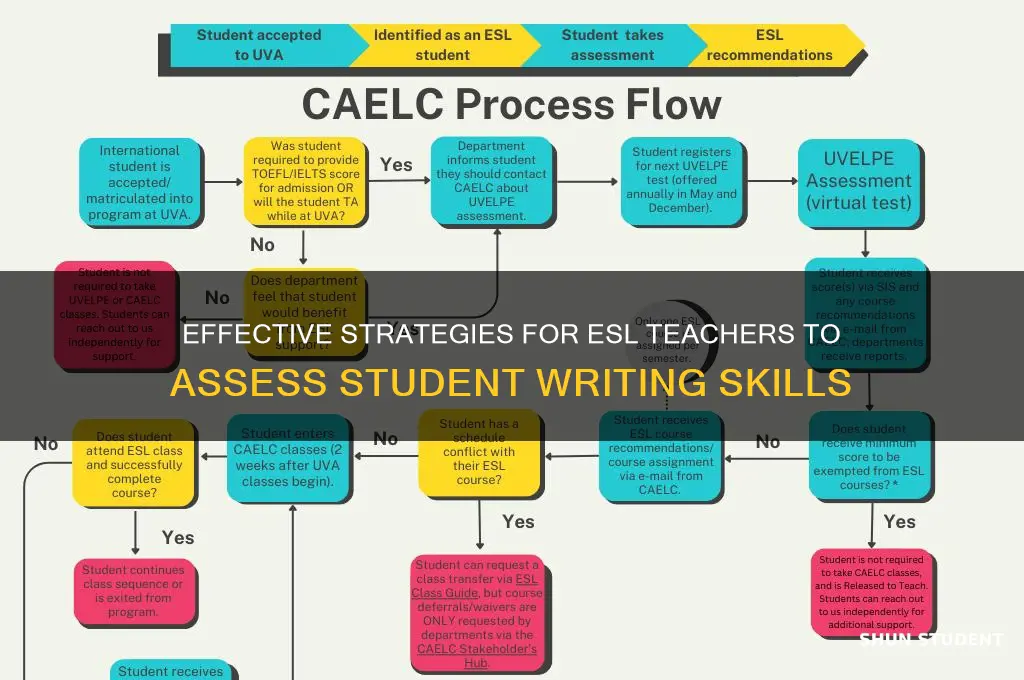 how esl teacher evaluate esl student writting skill