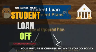 Student Loan Freedom: Strategies for Rapid Repayment