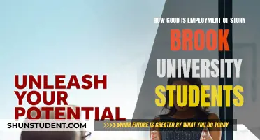 Stony Brook University: Employment Prospects for Graduates