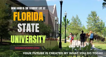 Student Life at Florida State University: An Insider's View