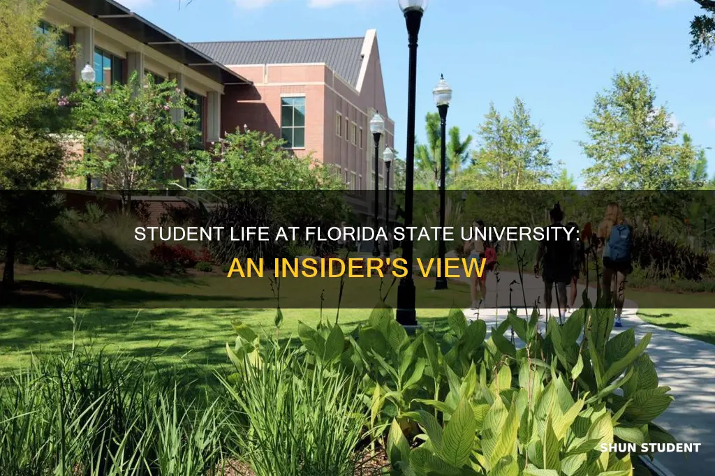 how good is the student life at florida state university