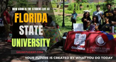 Student Life at Florida State University: A True Review