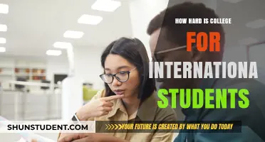 College Challenges: International Students' Hardships and Triumphs