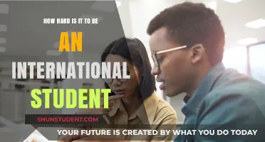 International Student Life: Challenges and Rewards