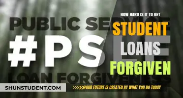Navigating Student Loan Forgiveness: Challenges and Realistic Expectations