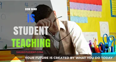 Student Teaching Challenges: Balancing Learning, Teaching, and Self-Care