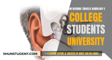 Understanding Hearing Loss: An Audiology Primer for University Students