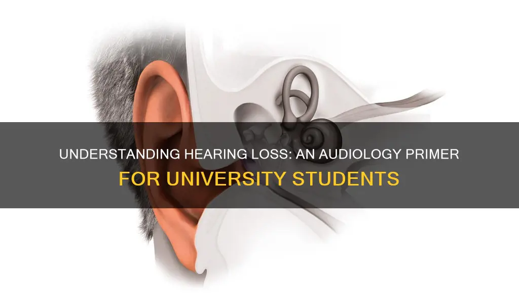 how hearing travels audiology 1 college students university