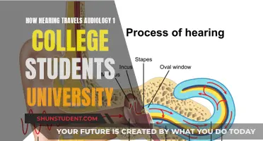 Understanding Hearing Loss: An Audiology Primer for University Students