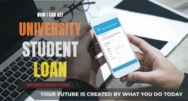 University Student Loan: Getting Started and Strategies