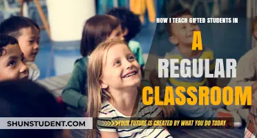 Nurturing Gifted Minds: Strategies for Inclusive Classroom Excellence
