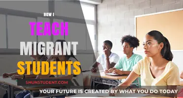 Empowering Migrant Learners: My Teaching Strategies for Inclusive Education
