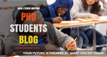 Effective Strategies for Teaching Writing to PhD Students: My Blog Approach