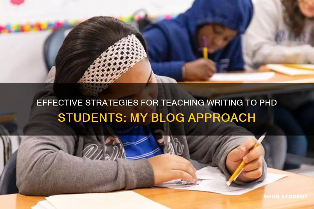 how i teach writing phd students blog