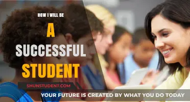 Mastering Success: Strategies to Excel as a Student