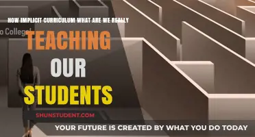 Beyond Lessons: Unveiling the Hidden Curriculum Shaping Student Minds