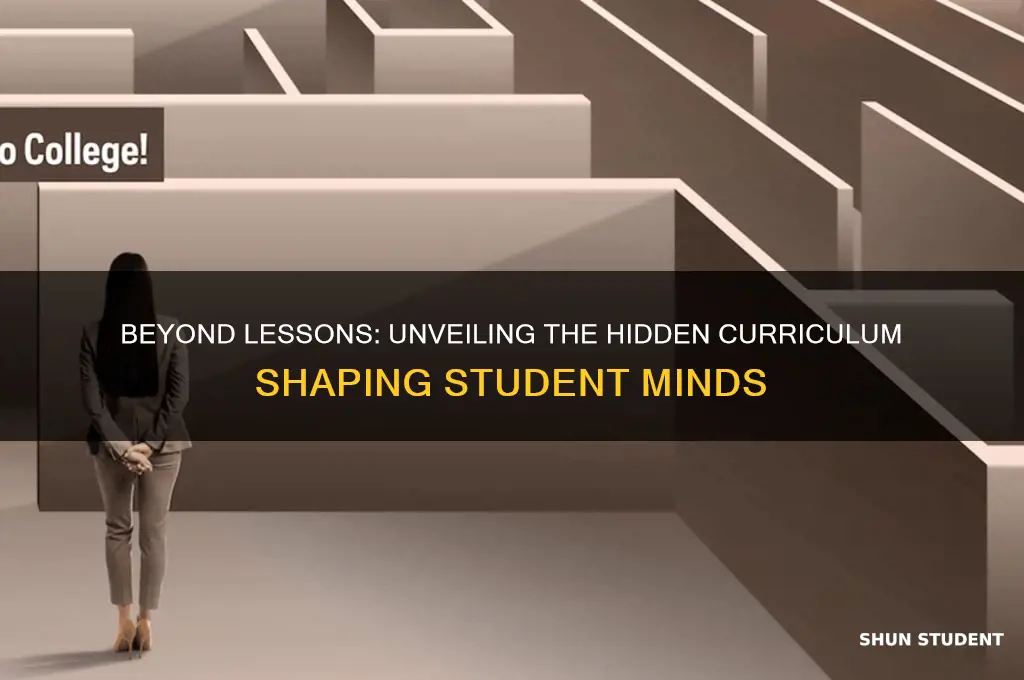 how implicit curriculum what are we really teaching our students