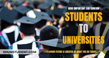 Foreign Students: Vital Assets for Universities' Success