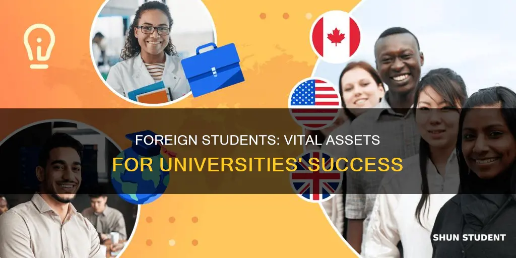 how important are foreign students to universities